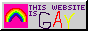 this webbite is gay :3